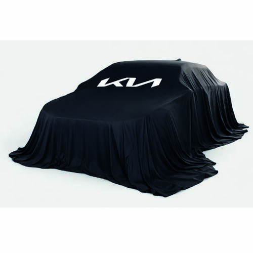 Car Cover - 1 st/frp.